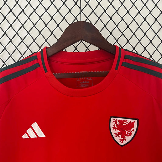 Maglia da calcio casalinga del Galles 2024