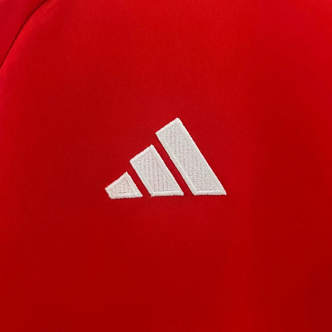 Maglia da calcio casalinga del Galles 2024