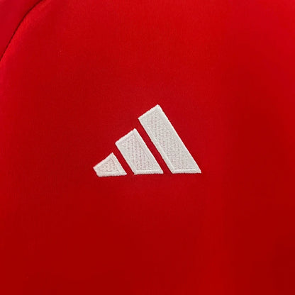 Maglia da calcio casalinga del Galles 2024