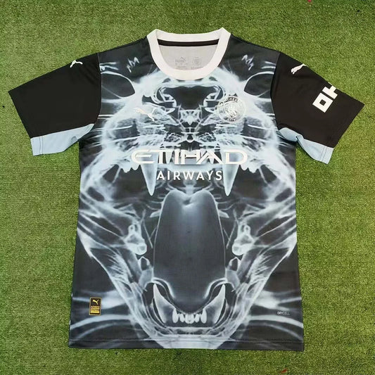Maglia da calcio Manchester City Concept Edition 2025/2026