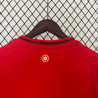 Maglia da calcio casalinga del Galles 2024