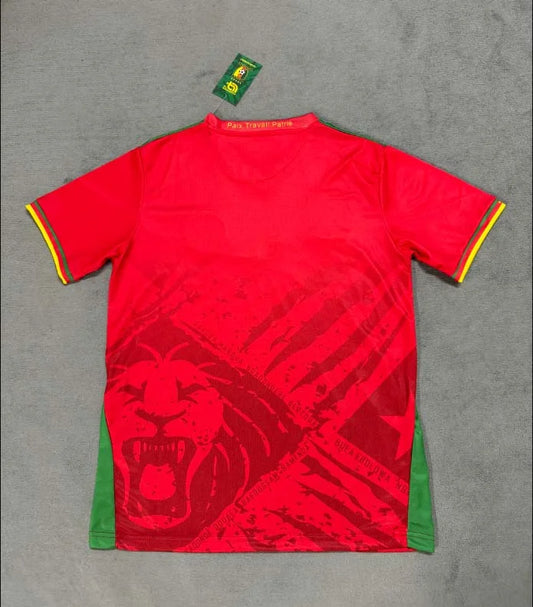 Maglia da calcio da trasferta del Camerun 2025