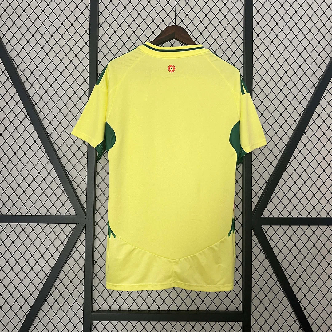 Maglia da calcio da trasferta del Galles 2024