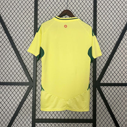 Maglia da calcio da trasferta del Galles 2024