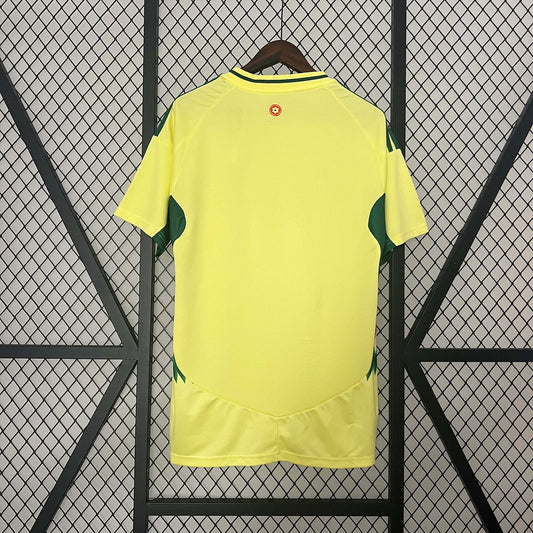 Maglia da calcio da trasferta del Galles 2024